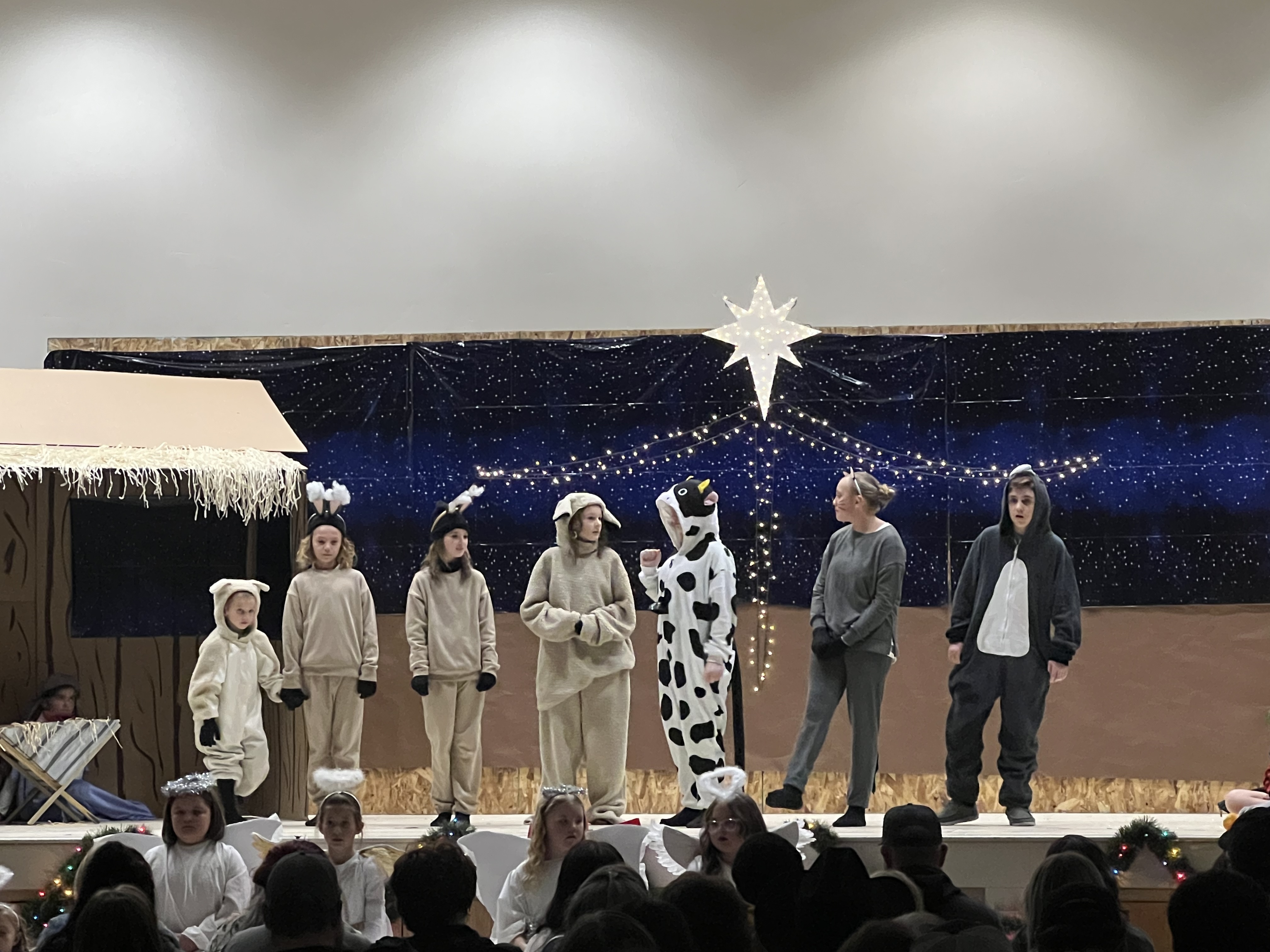 img_6880 image Image